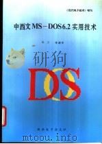 中西文MS-DOS6.2 实用技术   1995  PDF电子版封面    朱方，常建军 