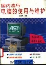 国内流行电脑的使用与维护   1994  PDF电子版封面  7800388603  金国鹰编著 