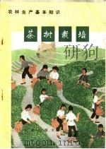 茶树栽培   1973  PDF电子版封面  16144·1648  张景明等编写 