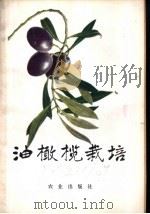 油橄榄栽培   1975  PDF电子版封面  16144·1705  农业部林业局编 
