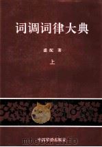 词调词律大典   1998  PDF电子版封面  7800747735  盛配著 