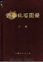 云南化石图册  下   1974  PDF电子版封面  13116·47  云南省地质局主编 