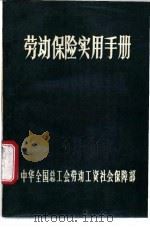 劳动保险实用手册   1988  PDF电子版封面  7502702442  中华全国总工会劳动工资社会保障部编 