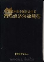 形成中的中国社会主义市场经济法律规范   1993  PDF电子版封面  7800862070  国家计划委员会政策研究所室编 