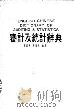 审计及统计辞典   1988年04月  PDF电子版封面    王为勇  陈流泉编译 