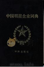 中国明星企业词典   1990  PDF电子版封面  7800820637  丁洪章等主编 