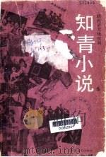 知青小说  蹉跎岁月咏叹调   1992  PDF电子版封面  7541101869  王安忆等著 