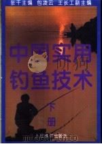 中国实用钓鱼技术  下   1994  PDF电子版封面  7500910886  张千等编著 
