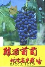 酿酒葡萄优质高产栽培     PDF电子版封面    杨振伟，李静芬主编 