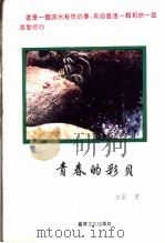 青春的彩贝   1993  PDF电子版封面  9624401921  唐丽著 