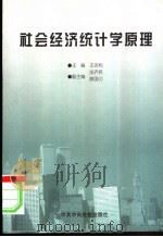 社会经济统计学原理   1998  PDF电子版封面  7503517549  王吉利主编 