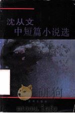 沈从文中短篇小说选   1991  PDF电子版封面  7536009518  《花城》编辑部编 