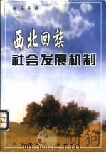 西北回族社会发展机制   1999  PDF电子版封面  7227019357  王永亮主编 