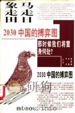 马走日  象走田  2030中国的搏弈图   1997  PDF电子版封面  7204038231  张藏藏等著 