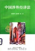 中国涉外经济法   1998  PDF电子版封面  7305031313  孙南申等著 