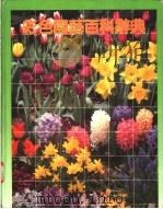 彩色园艺百科辞典     PDF电子版封面     