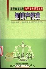 知识产权法   1999  PDF电子版封面  7562018936  吴汉东主编 