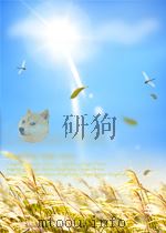 四川通志六十三常明     PDF电子版封面     