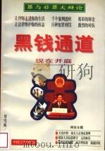 黑钱通道   1998  PDF电子版封面  7801280326  刘雪梅著 