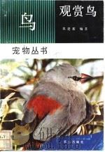 观赏鸟   1992  PDF电子版封面  7109024954  祝建新编著 