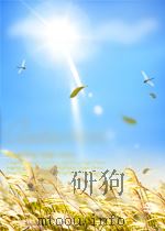 礼记四郑玄崇文书局楚北     PDF电子版封面     