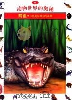 动物世界的奥秘  图集  6  鳄鱼  从恐龙时代起   1995  PDF电子版封面  7500620055  李广华译 