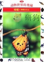 动物世界的奥秘  图集  26  蝴蝶  蝴蝶的变态   1995  PDF电子版封面  750062025X  傅大伟译 