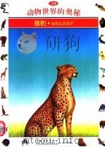 动物世界的奥秘  图集  18  猎豹  速度记录冠军   1995  PDF电子版封面  7500620179  周青译 