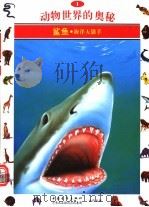 动物世界的奥秘  图集  1  鲨鱼  海洋大猎手（1995 PDF版）