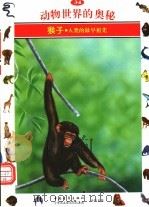动物世界的奥秘  图集  34  猴子  人类的最早祖先   1995  PDF电子版封面  7500620330  袁祖文译 