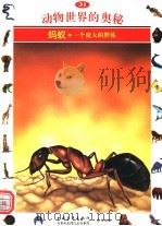 动物世界的奥秘  图集  31  蚂蚁  一个庞大的群体   1995  PDF电子版封面  7500620306  李广华译 