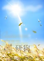 沈文肃公政书沈葆桢吴门节署     PDF电子版封面     