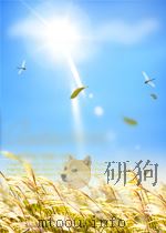 淇竹山房全集吴应莲     PDF电子版封面     