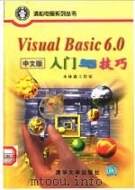 Visual Basic 6.0中文版入门与技巧   1999  PDF电子版封面  7302033692  木林森工作室编著 