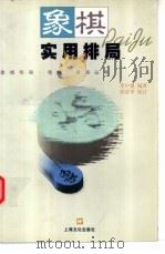 象棋实用排局   1999  PDF电子版封面  7806460128  李中健编著 