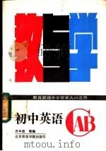 初中英语教与学   1988  PDF电子版封面  7810141384  齐平昌，王辰编著 