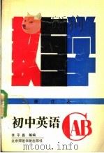 初中英语教与学   1990  PDF电子版封面  7810141384  齐平昌，王辰编 