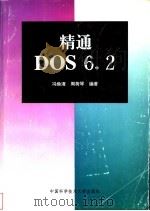 精通DOS6.2   1995  PDF电子版封面  7312007139  冯焕清，周荷琴编著 