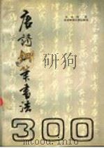 唐诗三百首钢笔书法   1992  PDF电子版封面  7303016708  王永兴书 