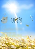 汉字规律与识字教学   1990  PDF电子版封面    王静 
