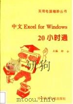 中文Excel for Windows 20小时通   1996  PDF电子版封面  7502327703  钟合主编 