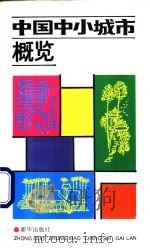 中国中小城市概览   1991  PDF电子版封面  750111546X  郎敬主编 
