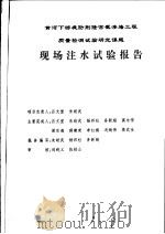 黄河下游堤防荆隆宫截渗墙工程质量检测试验研究课题  荆隆宫截渗墙现场注水试验报告     PDF电子版封面    新乡市黄河河务局，黄河水利职业技术学院 