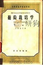 葡萄栽培学  下  附葡萄品种学及选种学原理   1958  PDF电子版封面  16144·29  （苏）湼格鲁里著；陈国康，罗仁，祁颐等译 