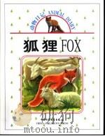 狐狸   1999  PDF电子版封面  7500748973  杜淡金 