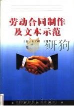 劳动合同制作及文本示范   1999  PDF电子版封面  750362583X  朱文洲，王法兴主编 