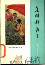 怎样种花生   1975  PDF电子版封面  16171·159  《怎样种花生》编写组编 