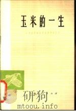 玉米的一生   1977  PDF电子版封面  16171·231  江苏农学院农学系，作物栽培组编著 