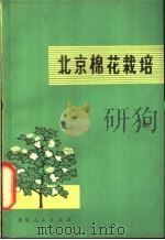 北京棉花栽培   1977  PDF电子版封面  16071·25  北京市农科院作物所编 