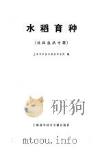 水稻育种  抗稻瘟病专辑   1979  PDF电子版封面  16192·5  上海科学技术情报研究所编 